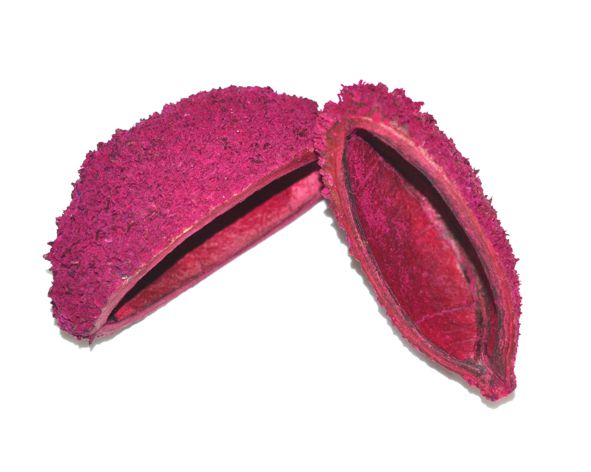 Casca bolsa de pastor colorida (grande) - Rosa pink (unidade)